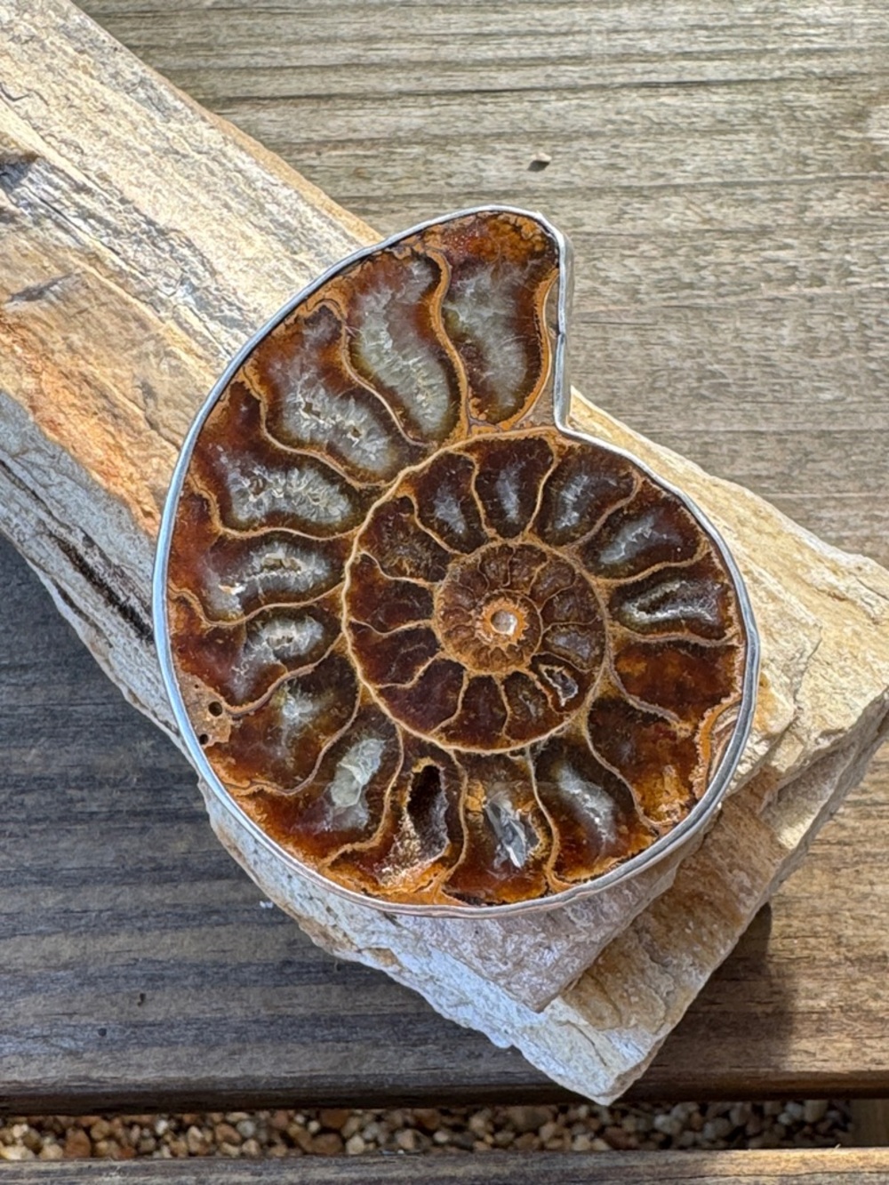 Artisan Made Sterling Silver Pin/Pendant with an Ammonite Fossil